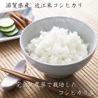 滋賀県 令和5年度産 新米 「近江米コシヒカリ 10kg」〈期間限定：9月～〉【送料無料】無農薬栽培 / お取り寄せ 通販 お土産 お祝い プレゼント ギフト 母の日 おすすめ /