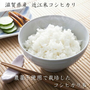V ꌧ ߘa7NxY ߍ] RVqJ 10kg   _sgp yz /  ʔ v[g Mtg  /
