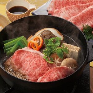 ɉꋍ[XĂp600gyz /  ʔ yY j v[g Mtg Ε  /