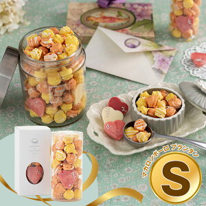 yGg[P5{zyzCgf[2026z }JEGEVR }J{[ v^ S ܕt XC[c mَqyz /  ʔ v[g Mtg  /