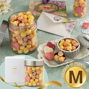 yGg[P5{zyzCgf[2026z }JEGEVR }J{[ v^ M ܕt XC[c mَqyz /  ʔ v[g Mtg  /