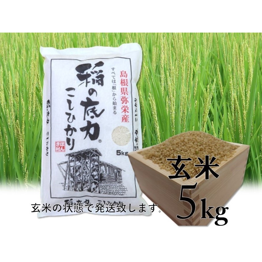 生命あふれる田んぼのお米  ひとめぼれ  玄米 4kg