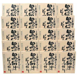 Oc{Ɓ@јãr[tJ[(20H)yz 퉷 /  ʔ yY j v[g Mtg Ε  /