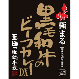 【パンダグッズ対象商品】三田屋総本家　味極まる黒毛和牛のビーフカレーDX(20食)【送料無料】 / お取り寄せ 通販 お土産 お祝い プレゼント ギフト 母の日 おすすめ /