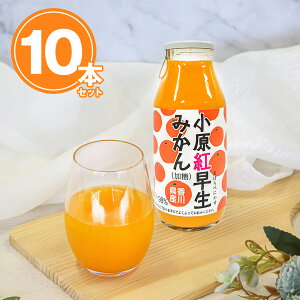 g݂W[X()@10{Zbgyz /  ʔ v[g Mtg Ε  /