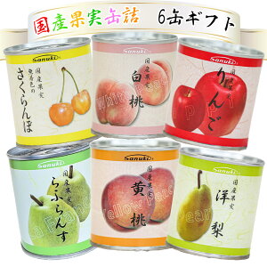 Yʎʋl 6ʃMtg t[c ʕ Y ʋl lߍ킹yz /  ʔ v[g Mtg  /