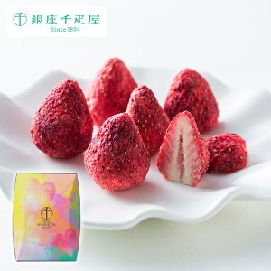 D ̃`R[g 퉷 / ʔ v[g Mtg Ε  /