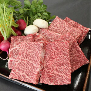 yѐYzߐ{샖aԐgXe[LyƂ̂̕YWzyz /  ʔ yY j v[g Mtg Ε  /