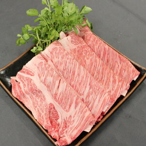 yѐYzߐ{샖a[XĂyƂ̂̕YWzyz /  ʔ yY j v[g Mtg Ε  /