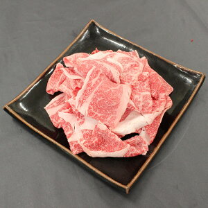 yѐYzߐ{샖a؂藎ƂyƂ̂̕YWzyz /  ʔ yY j v[g Mtg Ε  /