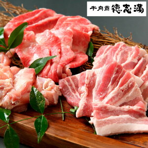  uuvēZbg ߍ]Jr200g Y؃o150g Y{150gyz /  ʔ yY j v[g Mtg  /