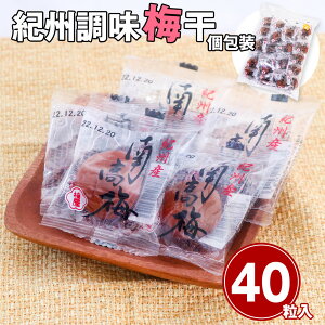 ~ IB~  40 a̎R yzy͂snFkCEEz 퉷 /  ʔ v[g Mtg Ε  /