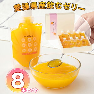 btAgG G QYރ[[8{MtgZbg [[yz /  ʔ v[g Mtg  /