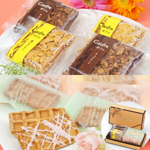 KtEbtXN MtgyN[ցz XC[c mَqyz /  ʔ v[g Mtg Ε  /