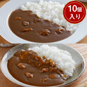  The v10yz 퉷 / J[ r[t `L  ʔ yY j v[g Mtg Ε  /