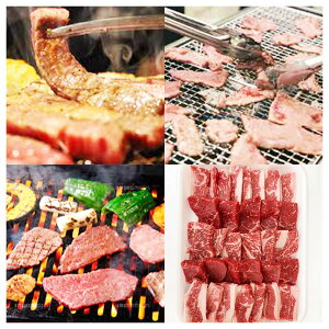 yēZbg500gyz / [X Jr   ʔ yY j v[g Mtg Ε  /