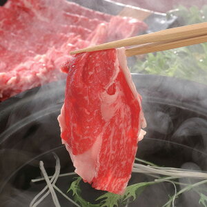 {苍 Ԃ 500g yz /   ʔ yY j v[g Mtg 
