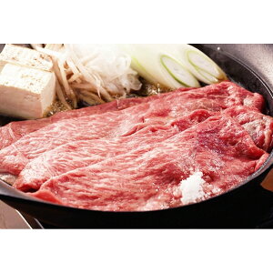 {苍₫ o550g yz /   ʔ yY j v[g Mtg 