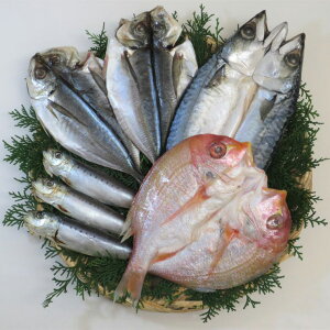 B銱4Zbg 񂱑130g×1 ^To160g×1 ^90g×2 ^킵30g×3 yz /  Y  ʔ yY j v[g Mtg 
