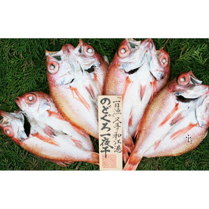 ̂ǂ銱 ̂ǂ銱7i101`125g×7j yz /  Y  ʔ yY j v[g Mtg 
