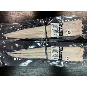 {CԂ茊q̈銱 q̈銱2 yz /  Y  ʔ yY j v[g Mtg 