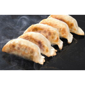 特製生餃子セット 特製生餃子（13g×50個）×1袋 【送料無料】 / 点心 中華 お取り寄せ 通販 お土産 お祝い プレゼント ギフト おすすめ