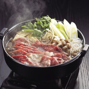   ₫ Eo500g yz /   ʔ yY j v[g Mtg 