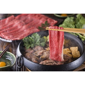  _ˋ₫ _ˋ₫po400g yz /   ʔ yY j v[g Mtg 