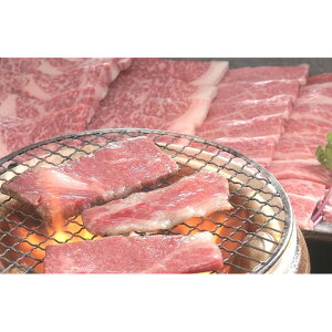 ꋍ ē 400g([X200g 200g) yz /   ʔ yY j v[g Mtg 