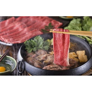  _ˋ Ă [X500g×2 yz /   ʔ yY j v[g Mtg 