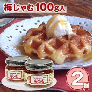 ~100g 2Zbg Y W 썂~ a̎R IByz /  ʔ v[g Mtg  /