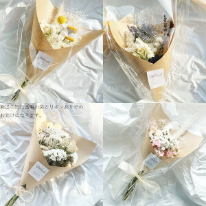 hCt[ ԑ u[P Mtg v[g CG[ u[ zCg sN 4ZbgyЂ傤E_˃ICYWzyz 퉷 /  nhCh CeA 