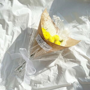 hCt[ ~ju[P ԑ u[P Mtg v[g CG[yЂ傤E_˃ICYWzyz 퉷 /  nhCh CeA G ʔ yY j