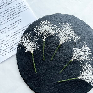 hCt[ wbhp[c wbhhX ݑ 5{Zbg zCgݑ vU[uht[yЂ傤E_˃ICYWzyz 퉷 / nhCh 