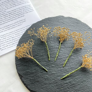 hCt[ wbhp[c wbhhX ݑ 5{Zbg S[hݑ vU[uht[yЂ傤E_˃ICYWzyz 퉷 / nhCh 