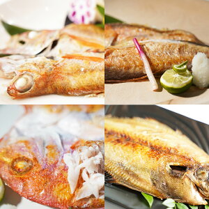 uv銱 byzy͂snFkCEEz/  ʔ v[g Mtg Ε  /