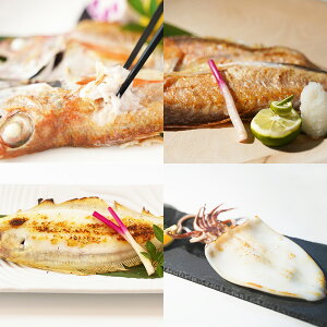 uv銱 g˓Vyzy͂snFkCEEz/  ʔ v[g Mtg Ε  /