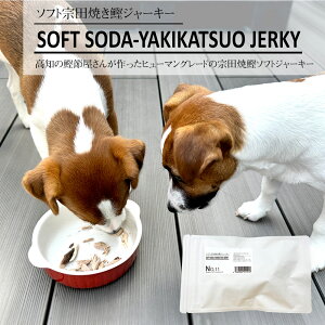 No.11 Soft Soda-Yakikatsuo Jerky \tg@cĂW[L[ 3{ hbOt[h Lbgt[h yz 퉷 /  ʔ v[g Mtg  /