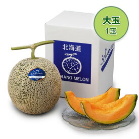 富良野メロン 大玉 1玉【送料無料】/ お取り寄せ 通販 プレゼント ギフト おすすめ /