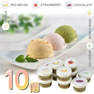 ACX ACXN[ kCJExACXZbg 6 v10yz/  ʔ v[g Mtg Ε  /