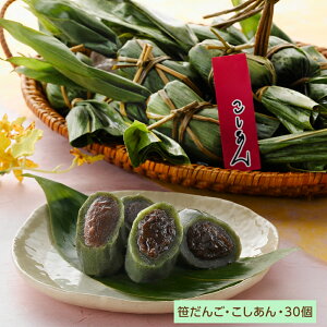 z  Ԃ 30yzy͂snFEz /  ʔ v[g Mtg Ε  /