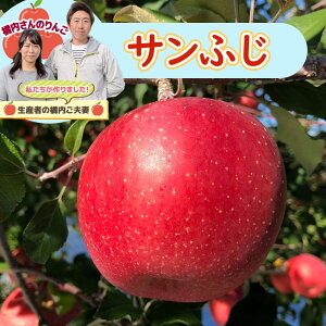 りんご 橘内さんの サンふじ 贈答用 5kg リンゴ 蜜入り 果物 フルーツ 減農薬 減化学肥料【送料無料】【お届け日の指定不可】 / お取り寄せ 通販 プレゼント ギフト おすすめ /