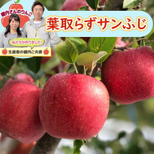  k tƂ炸Tӂ ϔ 3kg S ʕ t[cyzy͂̎wsz /  ʔ v[g Mtg  /