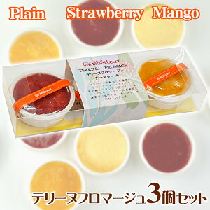 e[kt}[W3Zbg XC[c `[YP[Lyz /  ʔ v[g Mtg Ε  /