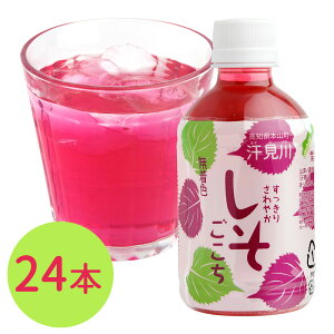 肳₩ 24{Zbgyz 퉷 / W[X \tghN m  ʔ yY j v[g Mtg Ε  /