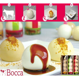 Boccaのプリン三昧(1) プリン4個×3種セット【送料無料】【二重包装不可】 / スイーツ 洋菓子 お菓子 お取り寄せ 通販 プレゼント ギフト 父の日 おすすめ /