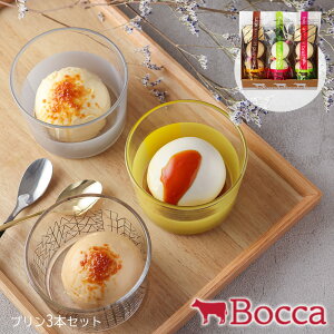 Bocca2v 3{Zbgyz / XC[c mَq kC q  ʔ v[g Mtg  /