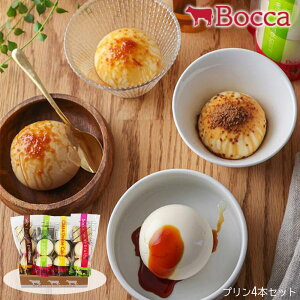 Bocca2v 4{Zbgyz / XC[c mَq kC q  ʔ v[g Mtg Ε  /