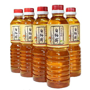 ~| 500ml×5Zbgyz /  ʔ v[g Mtg  /