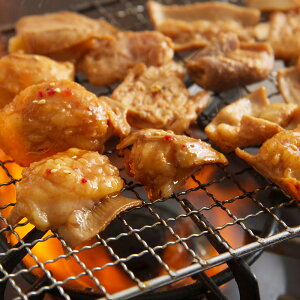 Od ӂ{ ㋍ tz~bNX 500gyz/  ʔ v[g Mtg Ε  /